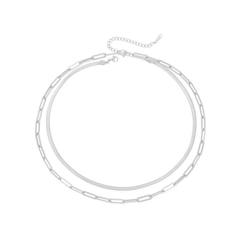 Simple Layered Necklace Double Layered Necklace